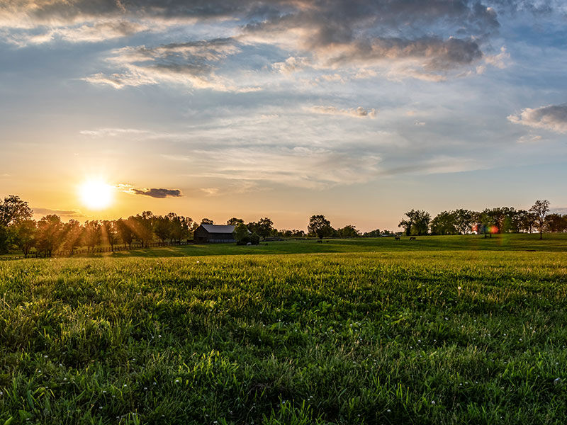 Farm with crops and a sunset in the background
